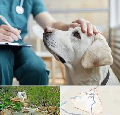 کلینیک دامپزشکی در کردان