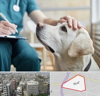کلینیک دامپزشکی در آذری