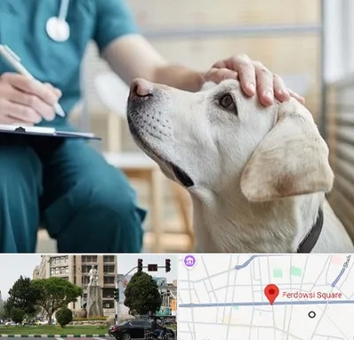 کلینیک دامپزشکی در میدان فردوسی تهران