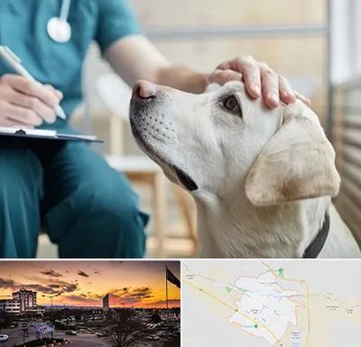 کلینیک دامپزشکی در قوچان