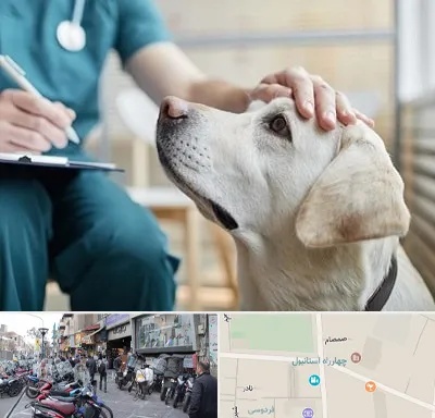 کلینیک دامپزشکی در چهارراه استانبول