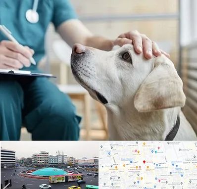 کلینیک دامپزشکی در میدان انقلاب