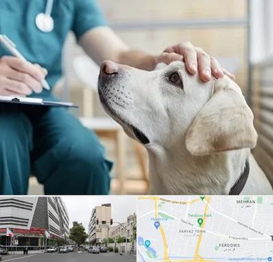 کلینیک دامپزشکی در بلوار فردوس