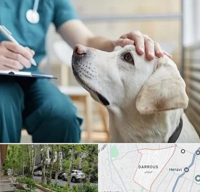 کلینیک دامپزشکی در دروس