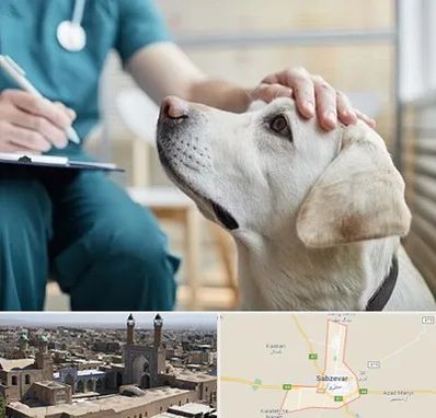 کلینیک دامپزشکی در سبزوار