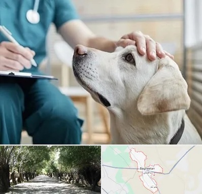 کلینیک دامپزشکی در باغستان