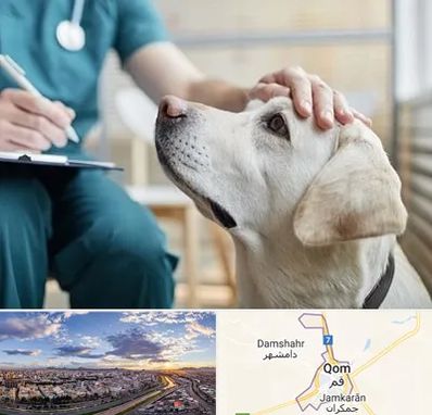 کلینیک دامپزشکی در قم