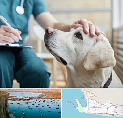 کلینیک دامپزشکی در چابهار