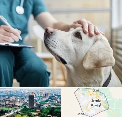 کلینیک دامپزشکی در ارومیه