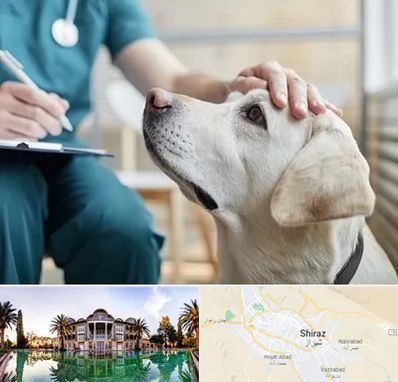 کلینیک دامپزشکی در شیراز