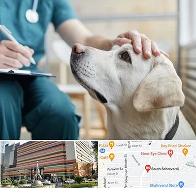 کلینیک دامپزشکی در سهروردی