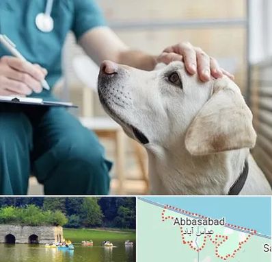 کلینیک دامپزشکی در عباس آباد
