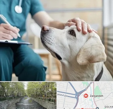 کلینیک دامپزشکی در زرگنده