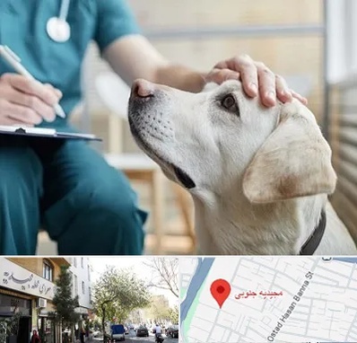 کلینیک دامپزشکی در مجیدیه جنوبی