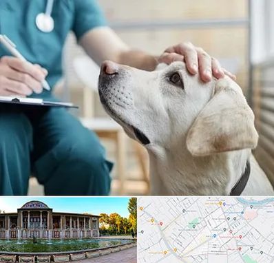 کلینیک دامپزشکی در عفیف آباد شیراز