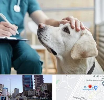 کلینیک دامپزشکی در چهارراه طالقانی کرج