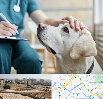 کلینیک دامپزشکی در کوی وحدت شیراز
