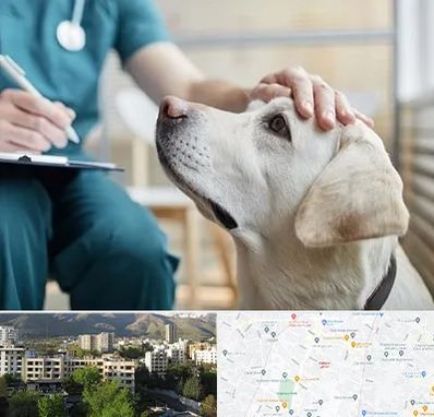 کلینیک دامپزشکی در دیباجی