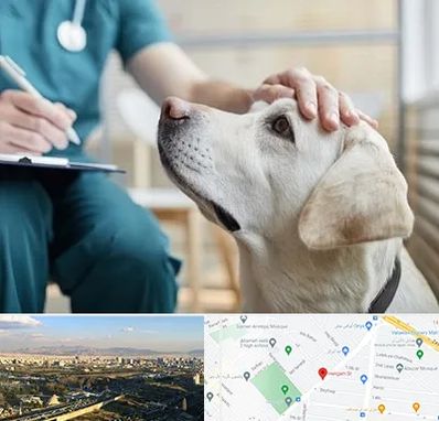 کلینیک دامپزشکی در هنگام