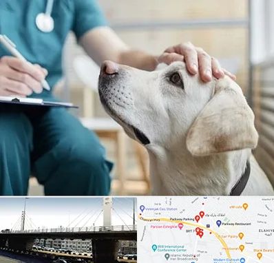 کلینیک دامپزشکی در پارک وی