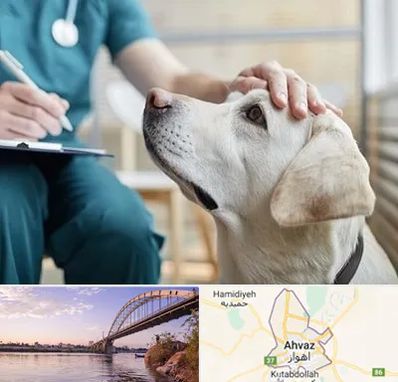کلینیک دامپزشکی در اهواز