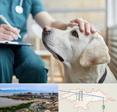 کلینیک دامپزشکی در بندر ترکمن