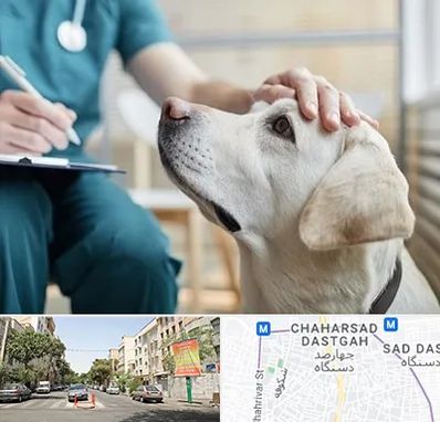 کلینیک دامپزشکی در چهارصد دستگاه