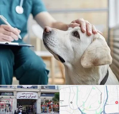 کلینیک دامپزشکی در ایران زمین