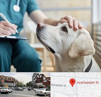 کلینیک دامپزشکی در خیابان آذربایجان