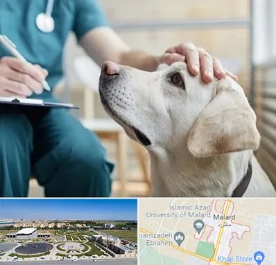 کلینیک دامپزشکی در ملارد