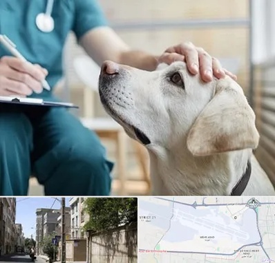 کلینیک دامپزشکی در مهرآباد