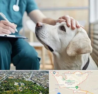 کلینیک دامپزشکی در شهرکرد