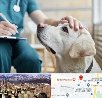 کلینیک دامپزشکی در جردن