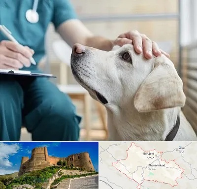 کلینیک دامپزشکی در لرستان