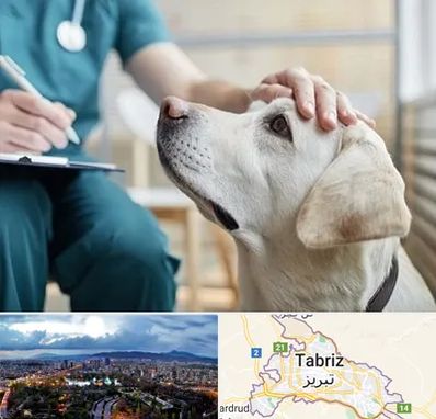 کلینیک دامپزشکی در تبریز