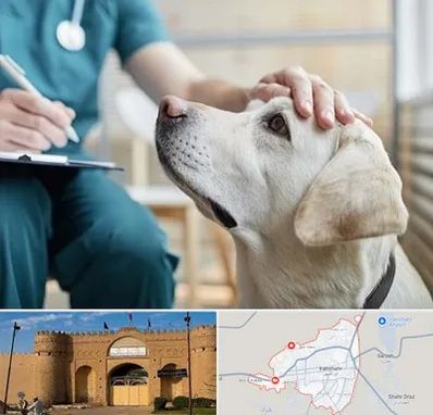 کلینیک دامپزشکی در ایرانشهر