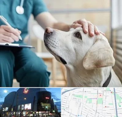 کلینیک دامپزشکی در بلوار اباذر