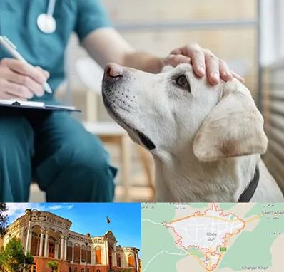 کلینیک دامپزشکی در خوی