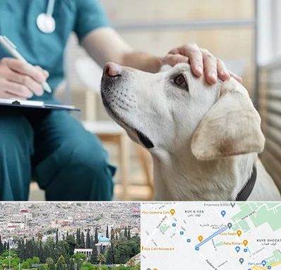 کلینیک دامپزشکی در محلاتی شیراز