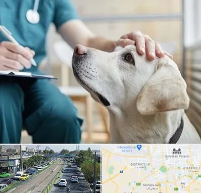 کلینیک دامپزشکی در جنوب تهران