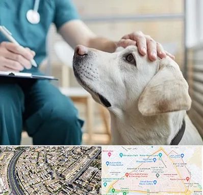 کلینیک دامپزشکی در شهرک غرب مشهد