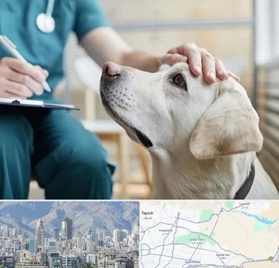 کلینیک دامپزشکی در شمال شرق تهران