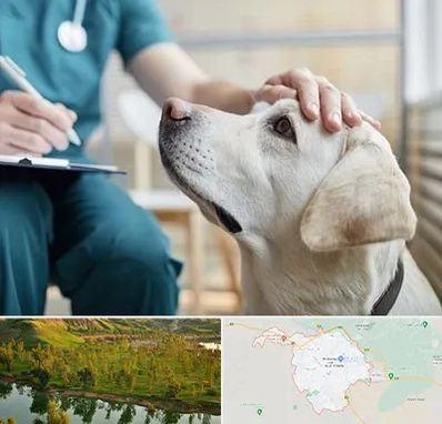 کلینیک دامپزشکی در بهبهان