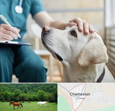 کلینیک دامپزشکی در چمستان