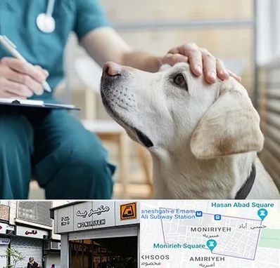کلینیک دامپزشکی در منیریه