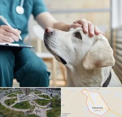 کلینیک دامپزشکی در ورامین