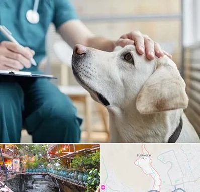 کلینیک دامپزشکی در درکه