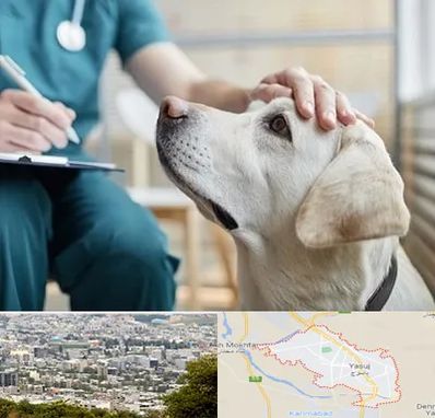 کلینیک دامپزشکی در یاسوج