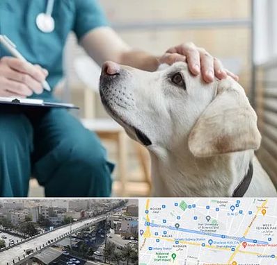 کلینیک دامپزشکی در فرجام