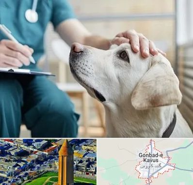 کلینیک دامپزشکی در گنبد کاووس